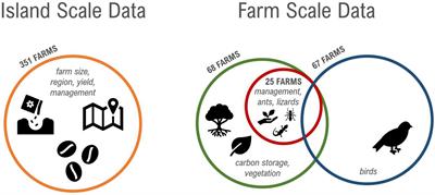 Tradeoffs and synergies among ecosystem services, biodiversity conservation, and food production in coffee agroforestry